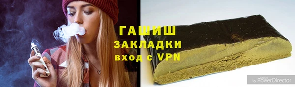сатива Туринск
